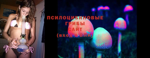 тгк Богородицк