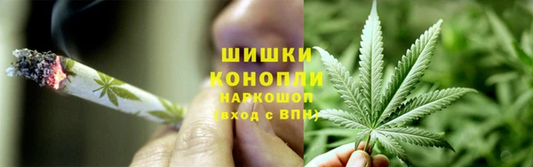 тгк Богородицк