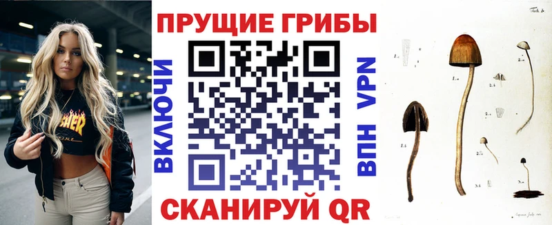 Псилоцибиновые грибы MAGIC MUSHROOMS  МЕГА рабочий сайт  Электроугли  наркошоп 